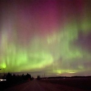 Meet your Posher, Shana